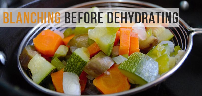 waring food dehydrator df415 1 manual
