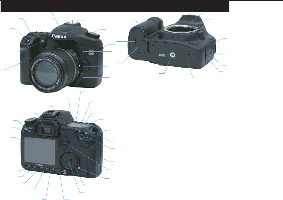 canon eos digital camera manual